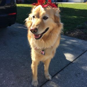 Meet your Posher, Kimberly